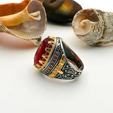 Red Tourmaline Oval Stone Men's Ring - TryAladdin